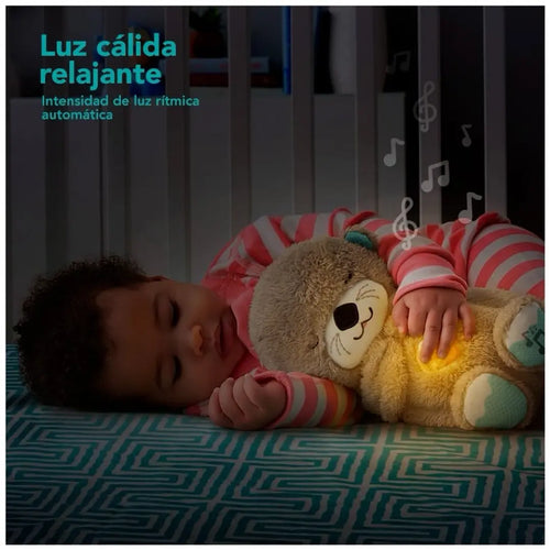 💤Nutria Dormilona🌙